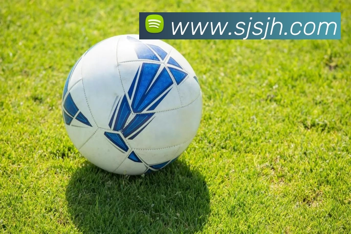 开云(中国)Kaiyun·官方网站 - 登录入口品牌故事